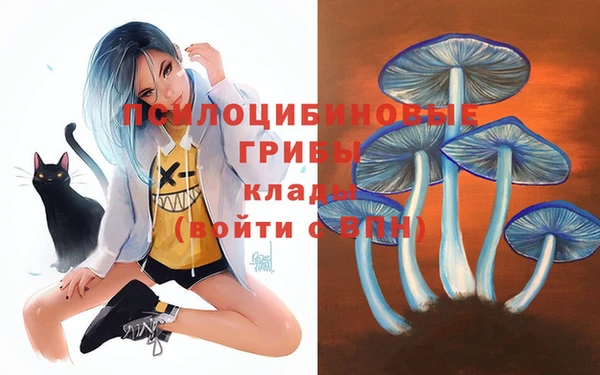 тгк Киренск