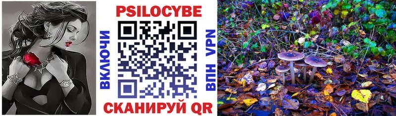 Галлюциногенные грибы Psilocybe  Бронницы 